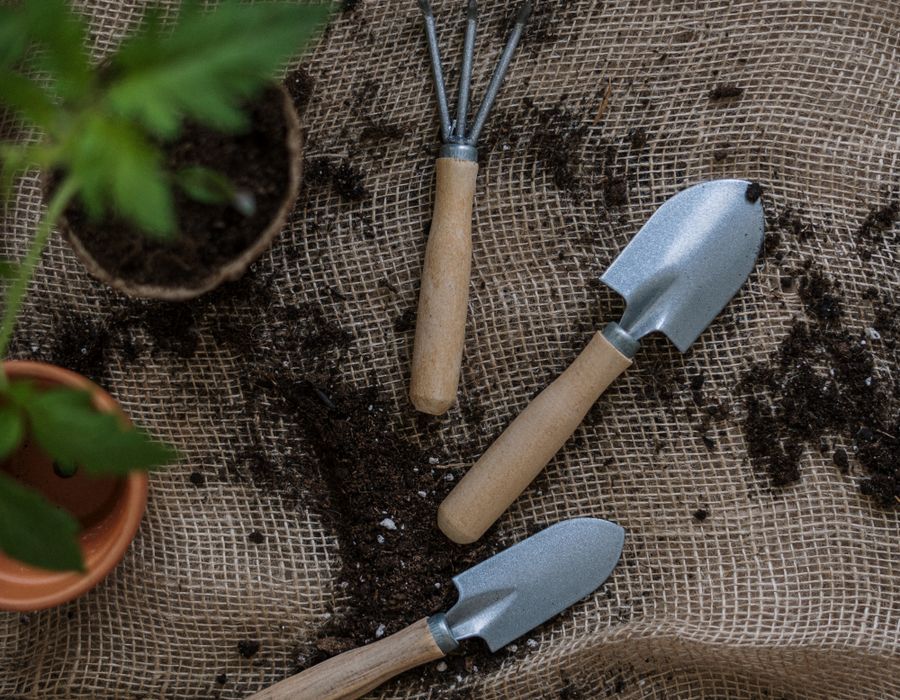 Ferramentas de jardim e plantas em exterior.
