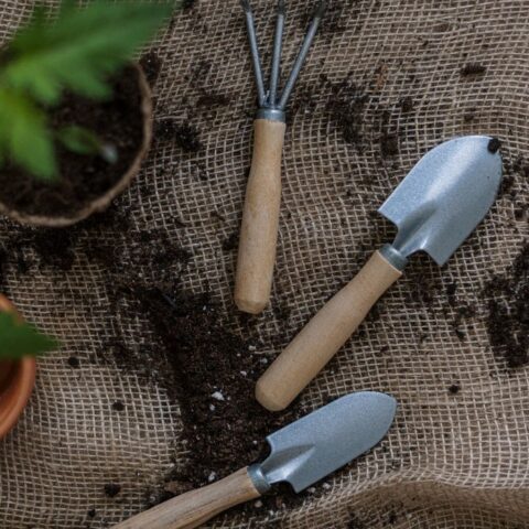 AcessÃ³rios de jardim em ambiente exterior