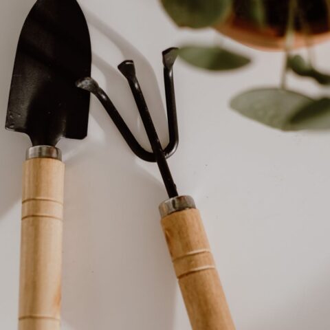 Ferramentas de jardim para poda e manutenÃ§Ã£o